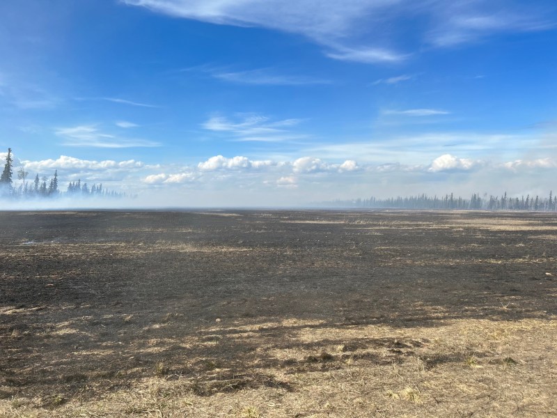 A view of a burned field that the Barley Way Fire moved through.