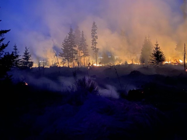 Flames burn in brush and spruce fuels during the late night suppression operations on the Mocha Fire near Happy Valley. There is smoke filling the area and rising into the night sky.