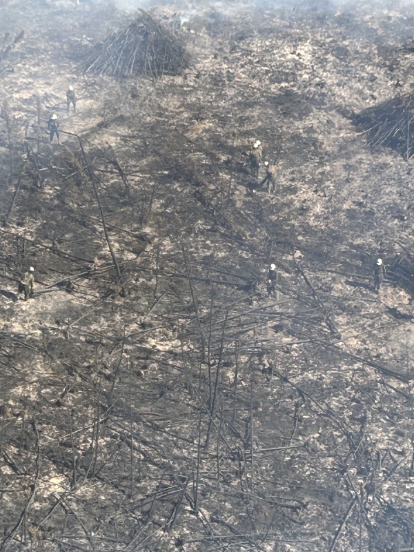Aerial view of Pioneer Peak Crew on the Lake George Fire. The crew spent several days working in the black, felling and bone piling fallen trees and gridding for any remaining heat in the ground.