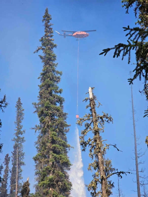 Helicopter dropping a water bucket in black spruce on the Lake George Fire.