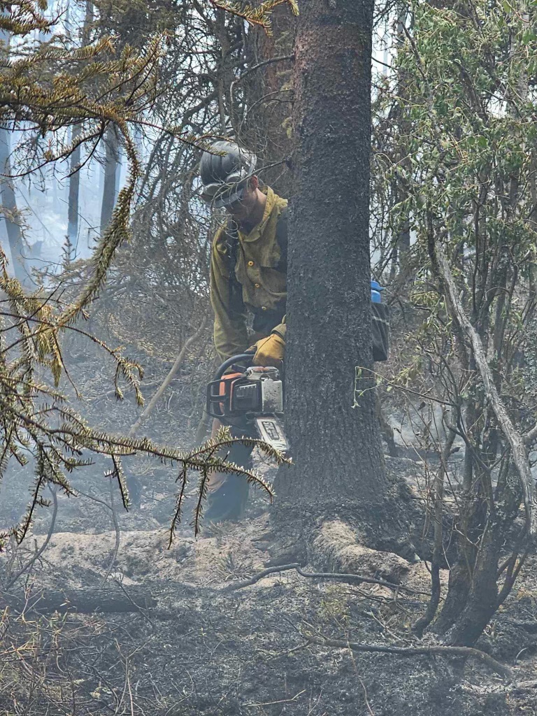 Tanana Chiefs Crew member felling a burned tree on the Lake George Fire. Photo/ Levi Tucker, Tanana Chiefs Crew.