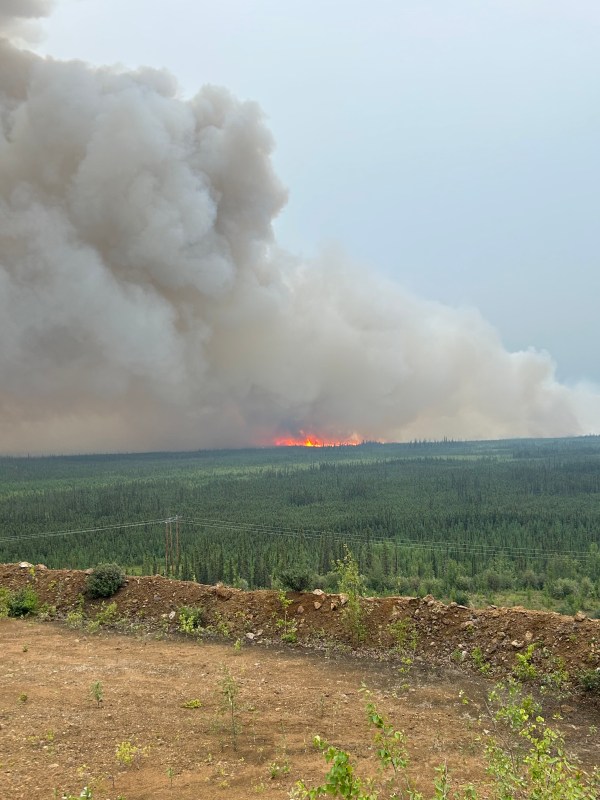 View of Pogo Mine Road Fire #191 from the road on Monday, July 24.