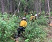 Firefighters clear brush from around a cabin.