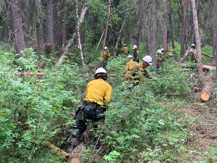 Firefighters clear brush from around a cabin.