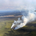 A column of smoke rising from a forested ground with a river in the background.