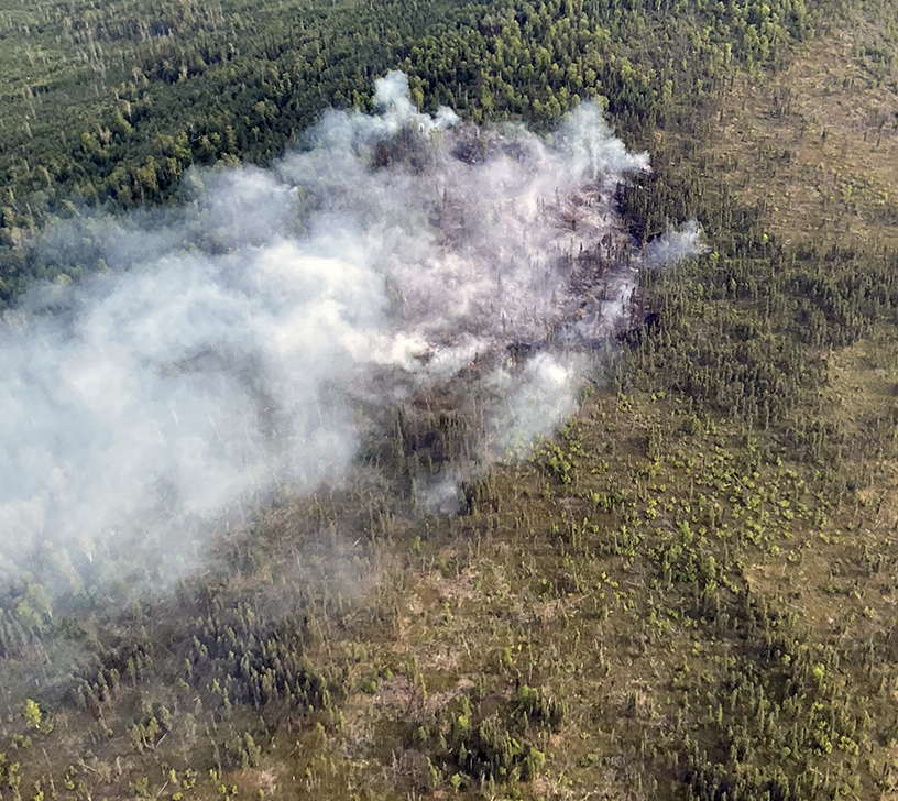Smoke drifts up from a burning patch of forest.