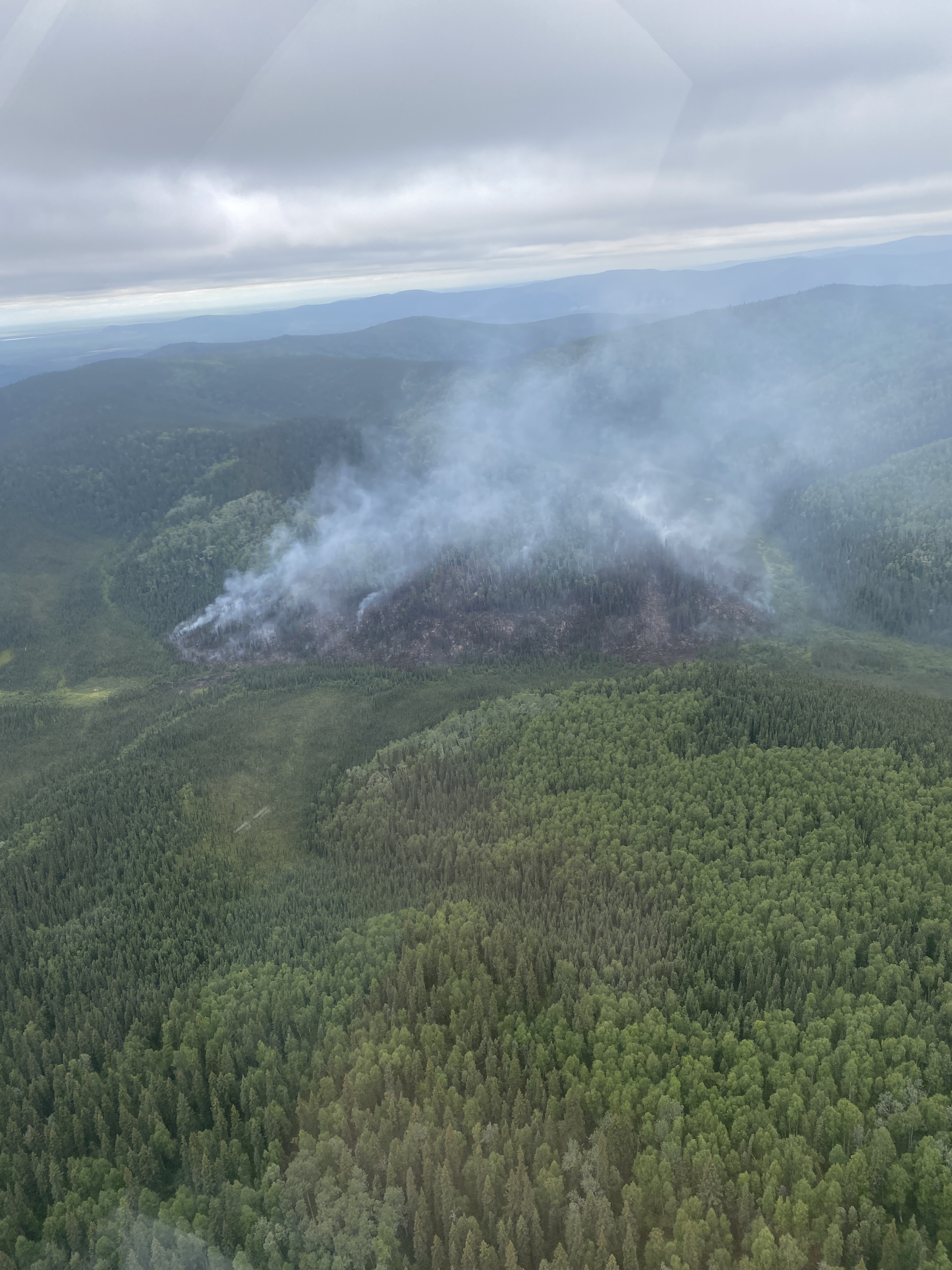 The Mosquito Creek Fire (#290) 5 miles east of Harding Lake. A nearby recreational area and additional infrastructure along the Richardson Highway were threatened. 8 smokejumpers were deployed to the fire and a helicopter completed multiple bucket drops on Saturday to prevent the fire from impacting the properties in the area on July 29.