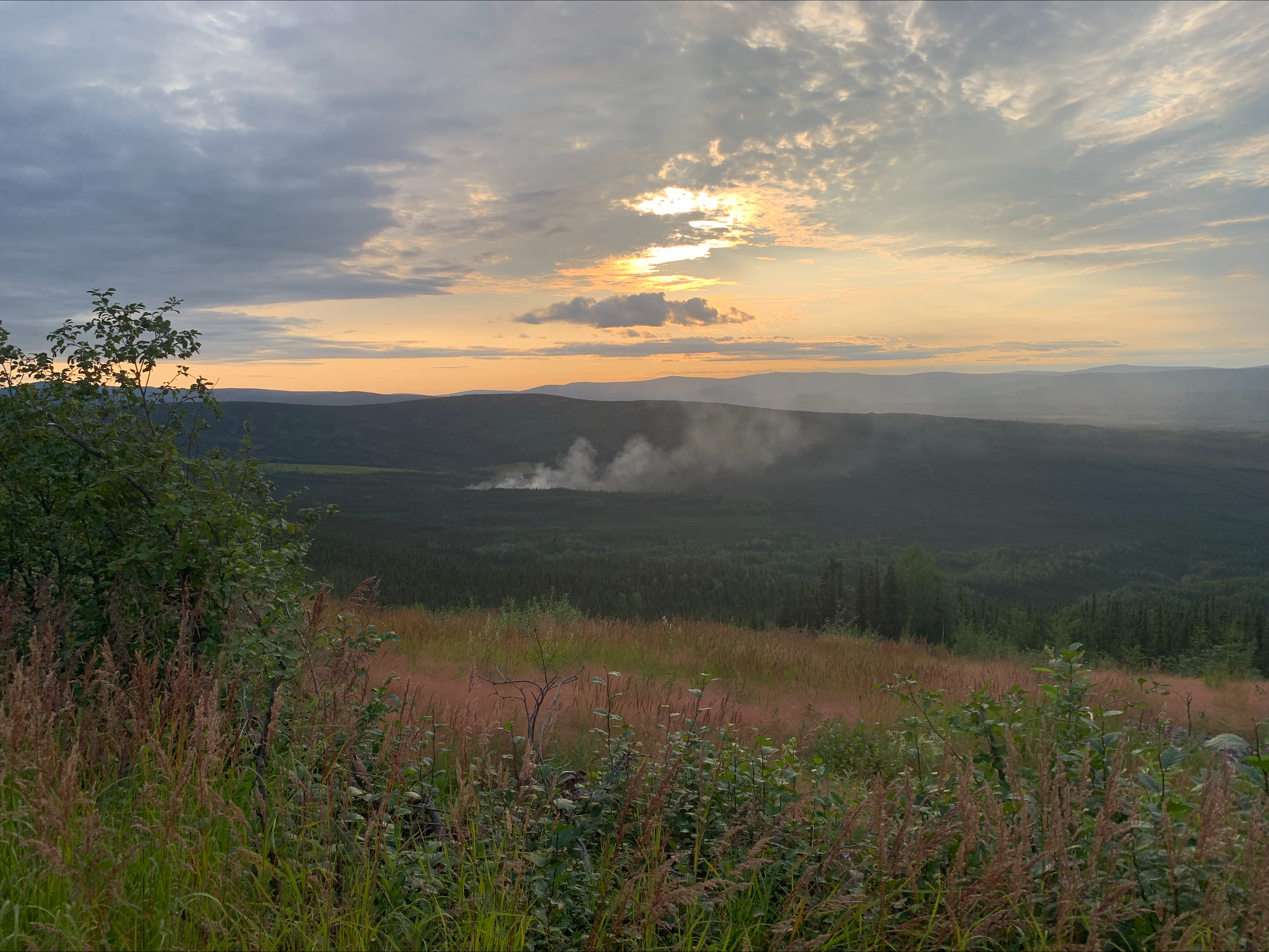 Our Creek Fire burns in black spruce .5 miles north of Old Murphy Dome Road in Fairbanks