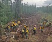 Franco Fire Crew strengthening control lines on the Mount Hayes Fire (#299). Photo/Michael Schmitt