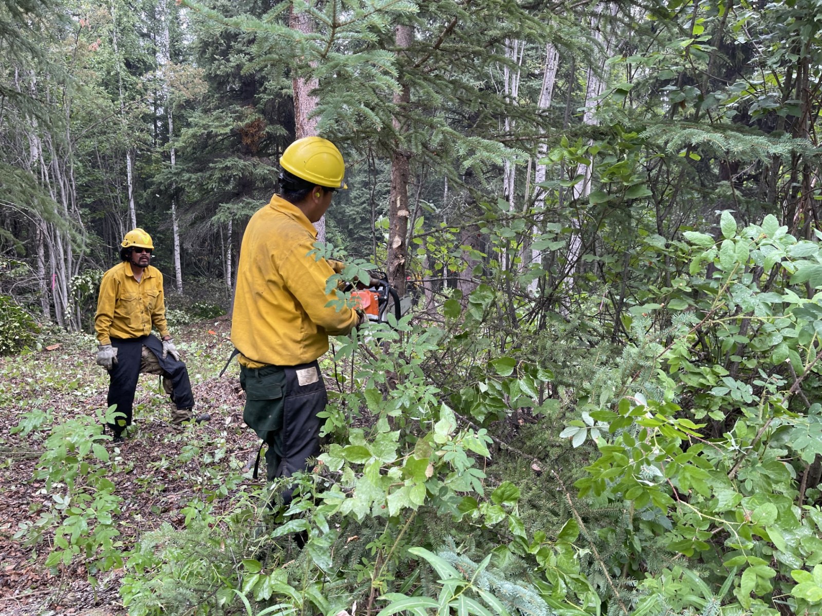Anderson Complex fire crews make most of cool, wet weather – Alaska ...