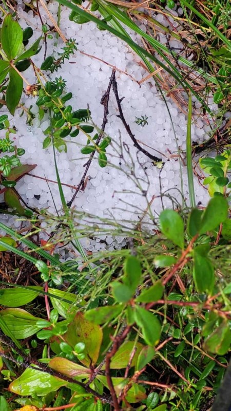 A pile of hail in the tundra.