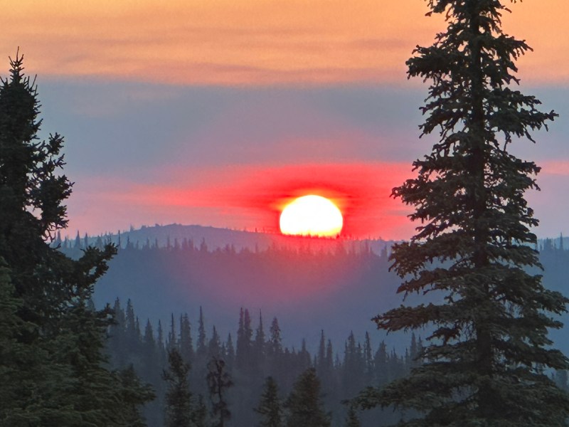 Glowing setting sun and orange skies with smoke in background over smoky low mountains with a large spruce tree foreground right.