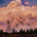 A large plume of smoke in the sky above the forest