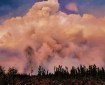 A large plume of smoke in the sky above the forest