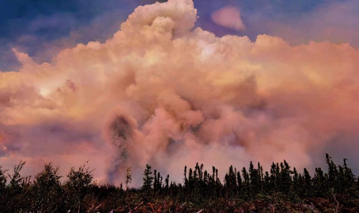 A large plume of smoke in the sky above the forest