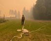 A firefighter stands by fire hoses on the ground in a smoky field