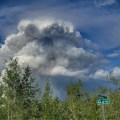 View of Teklanika River Fire (#257) from the ground August 1.