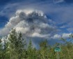 View of Teklanika River Fire (#257) from the ground August 1.