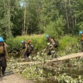 The Shasta Lake Hotshots cross a log bridge to reach a cabin near the Birch Creek Fire.