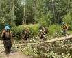 The Shasta Lake Hotshots cross a log bridge to reach a cabin near the Birch Creek Fire.