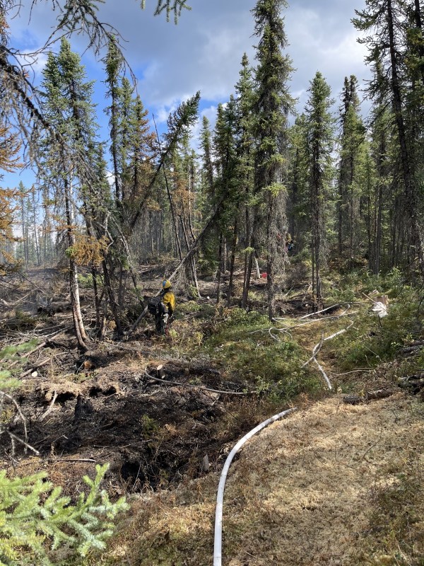 Firefighters work uphill in black spruce on containment line around the Our Creek Fire (#271). Bryan Crisp/ AK DOF