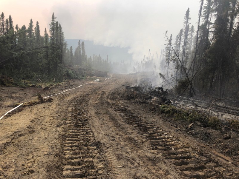 Plumbed dozer line in black spruce on the Lost Horse Creek Fire (#296) on August 6. Jaclyn Cheek / AK DOF