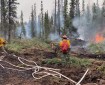 Firefighters work on the containment line of the Pogo Mine Road Fire (#191) near Delta on August 8. Kale Casey/ AK DOF
