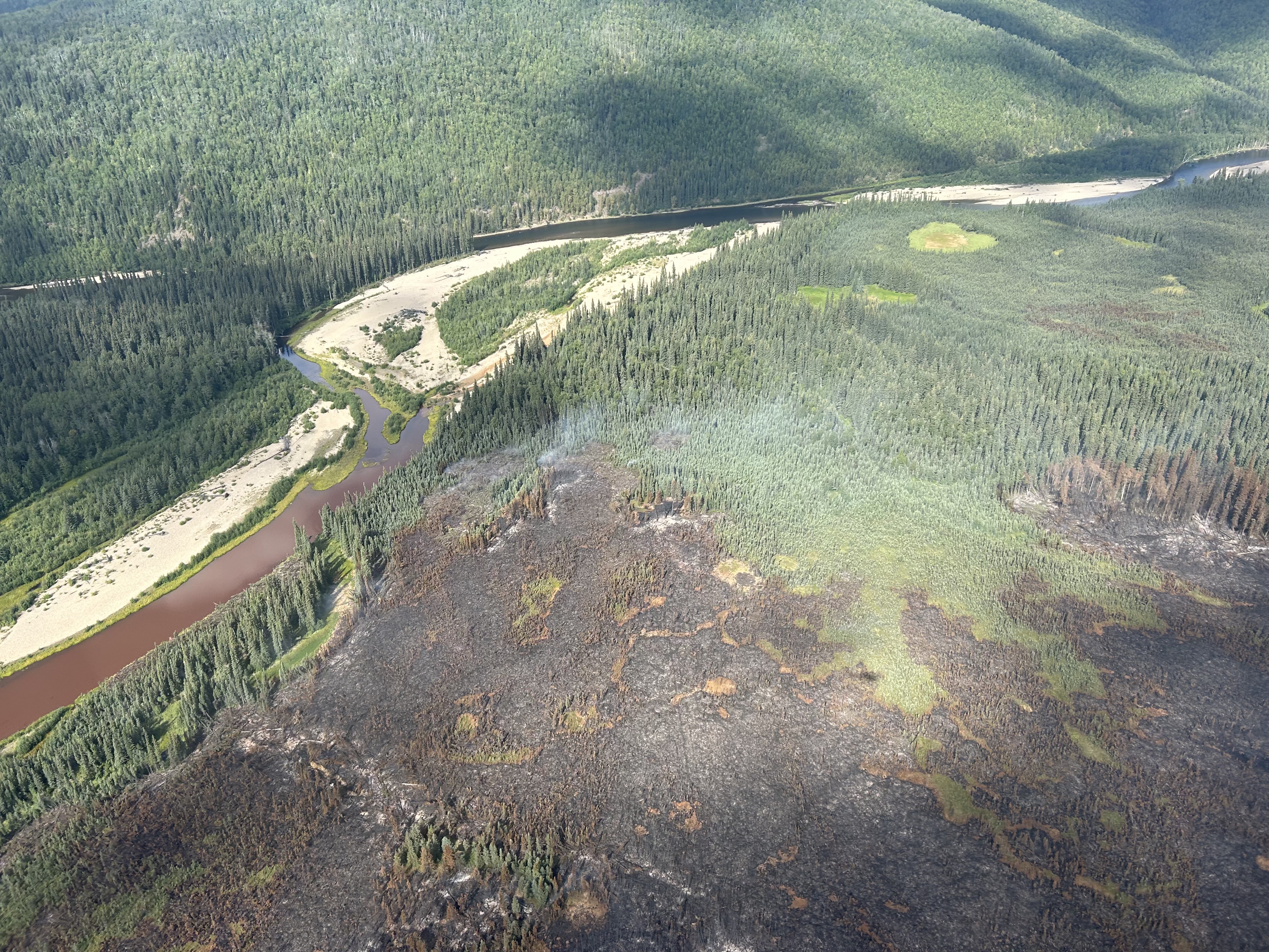 Aerial view of the McCoy Creek Fire (#201) burned area as it approached the Salcha River. Torrey Short/ AK DOF