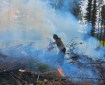 A member of Tanana Chiefs Crew works to get rid of burnable fuel on the Pogo Mine Road Fire (#191) with a drip torch. Levi Tucker/Tanana Chiefs Crew