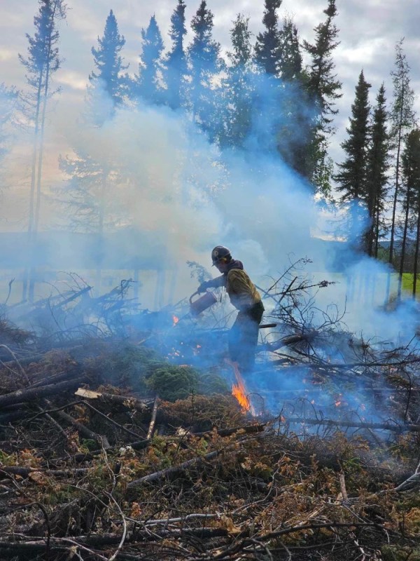 A member of Tanana Chiefs Crew works to get rid of burnable fuel on the Pogo Mine Road Fire (#191) with a drip torch. Levi Tucker/Tanana Chiefs Crew