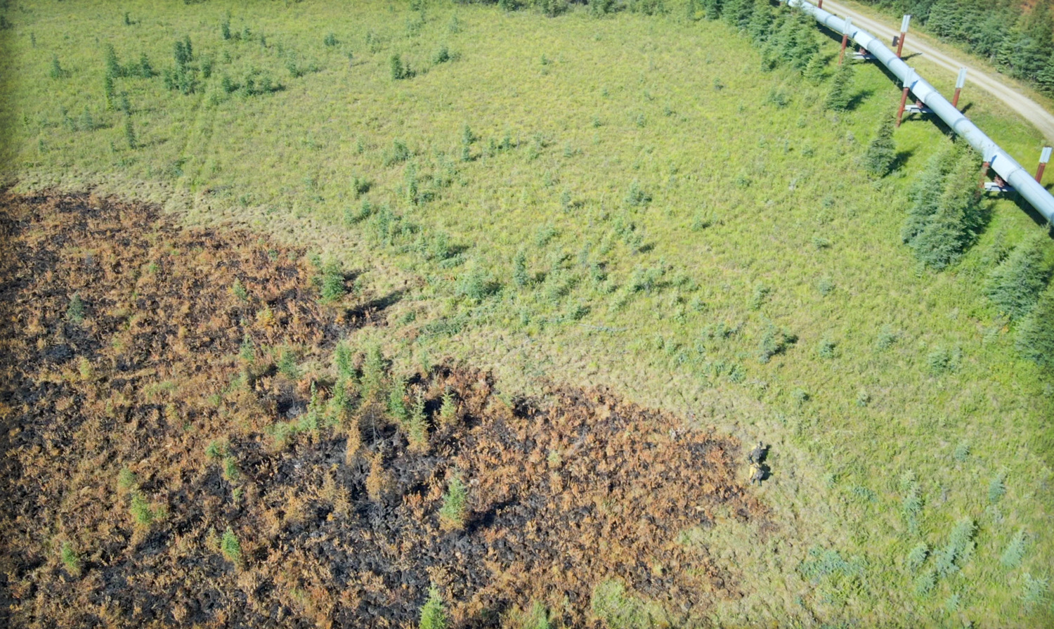 Chena Hot Shots patrol the Pogo Mine Road Fire (#191) perimeter along the Alaska Pipeline. David Camacho/AK DOF