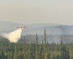 A super scooper drops water on a boreal forest in Alaska