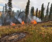 Black spruce slash piles burning in the fall of 2023 near Fairbanks. Doug Younce/AK DOF