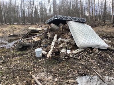 Pile of birch wood, trash, debris and mattresses.