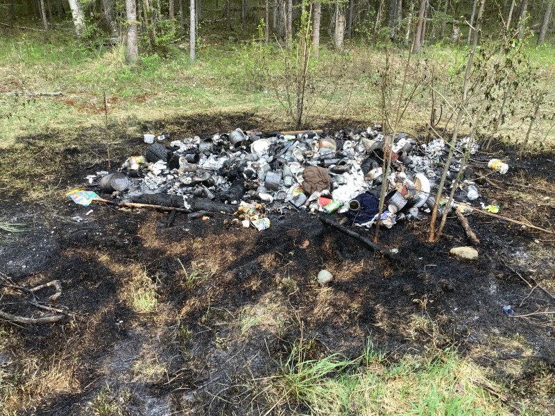 A large burn pile of trash is featured in the middle of the photograph. Saplings can be seen growing up and around trash pile.