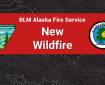 Graphic for a new BLM AFS wildfire.