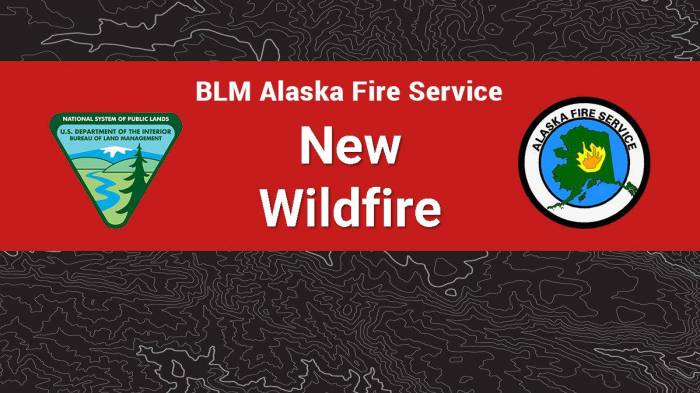 Graphic for a new BLM AFS wildfire.