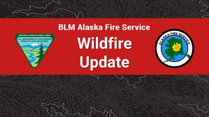 Graphic for BLM AFS Wildfire Updates
