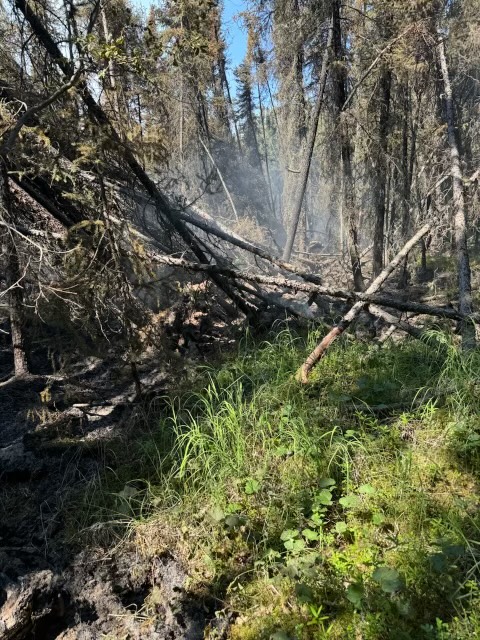 This forest and jack straw on a direct line.