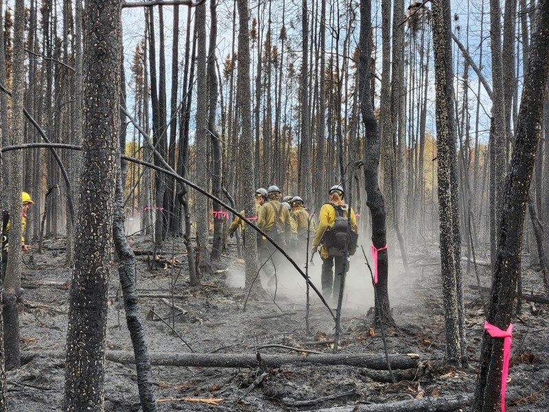 Crews use pink flagging to set up a staging area for a medical training exercise.
