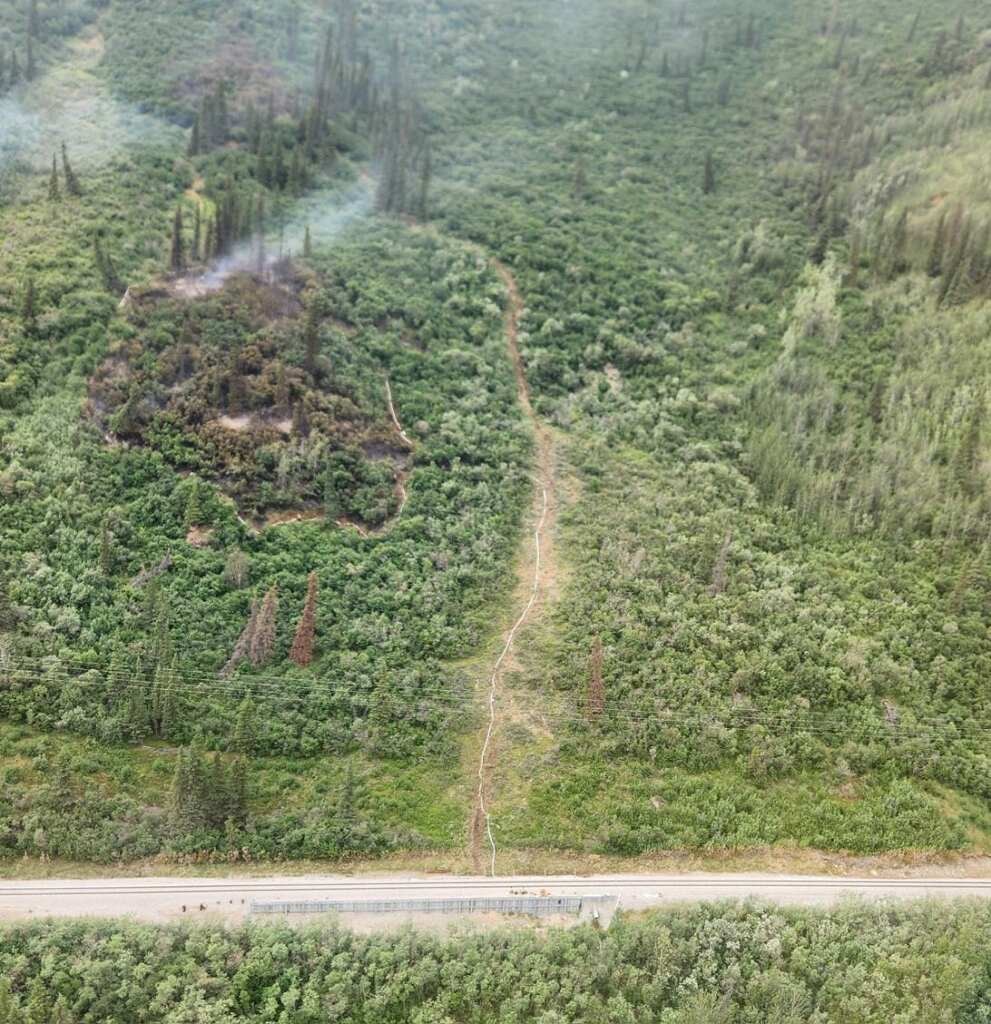 A hose lays in a cleared trail up a steep slope of a burned area.