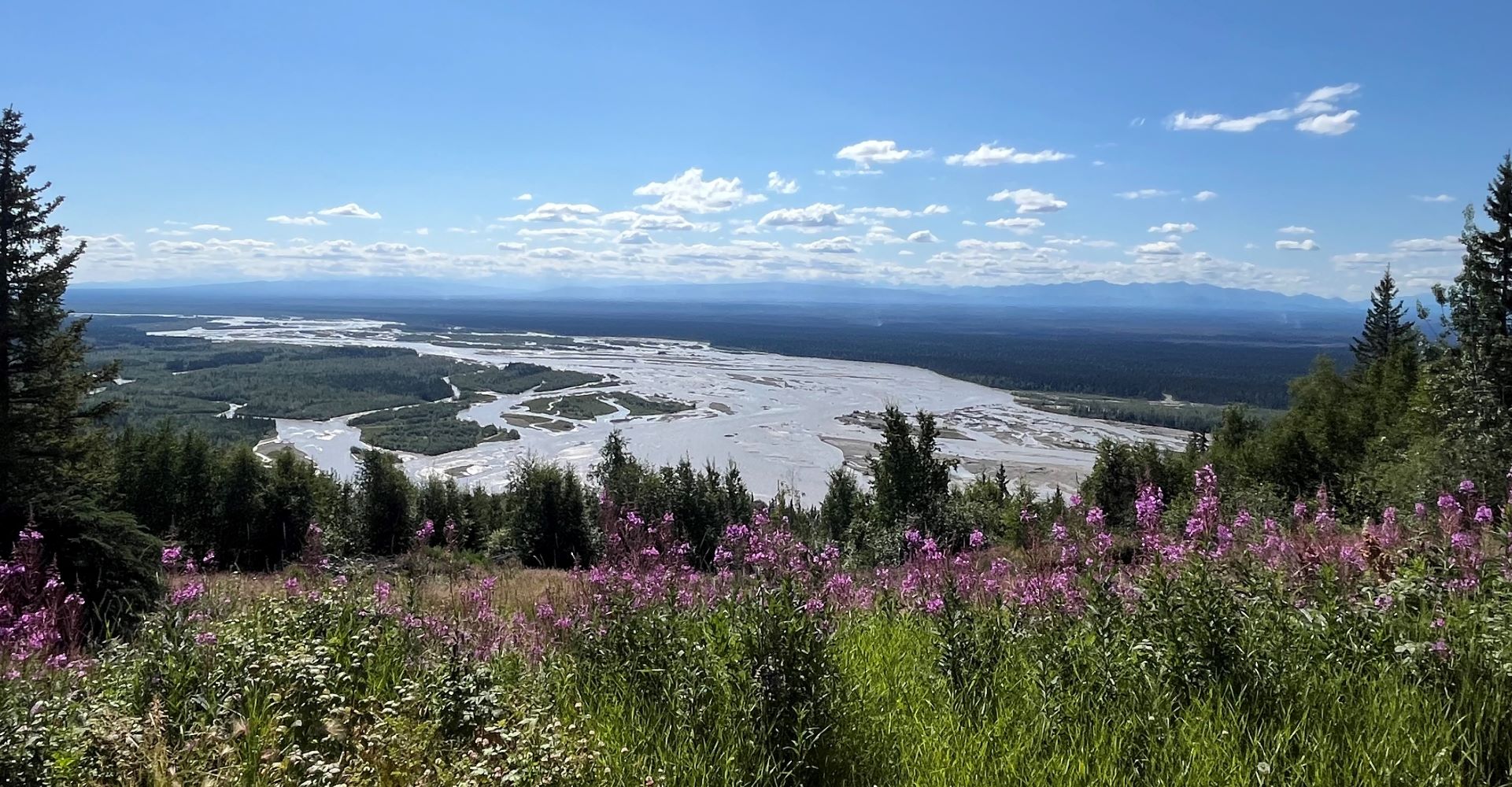 In the distances, smoke drifts up from a large burned area. Fireweed bloom on top of a hill in the foreground. A river stands between the hill and the burned area.