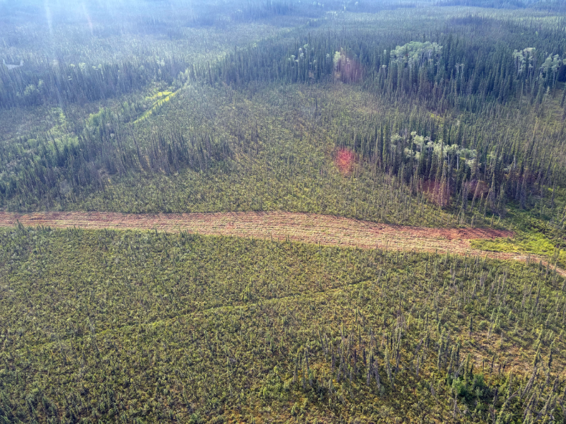 A large swatch cut through brush in the middle of tundra and a forest.