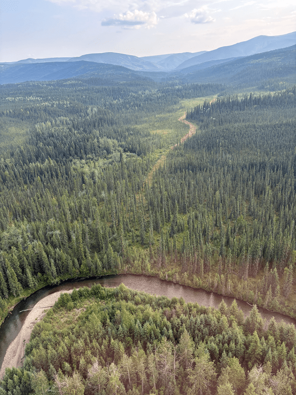 A valley with mountains in the background. A masticated fire break cuts through the middle of the photograph and ends near a ox bow in a creek.