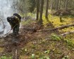 Firefighter works on Glaman Lake Fire (#381) line.