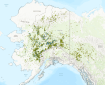 Dots on a map of Alaska marking where lightning strikes were recorded.