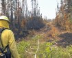 Firefighter dressed in yellow shirt and hard hat in lower left corner of photo with fire hose stretching diagonally between a cut saw line with burnt vegetation.