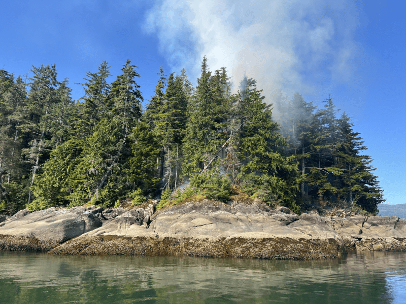 Smoke rises from a fire burning in a dense green forest viewed from the water.