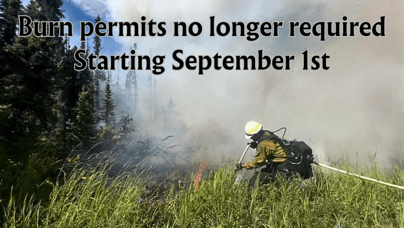 Wildland firefighter uses a hose to extinguish flames in grasses, with spruce trees growing nearby.