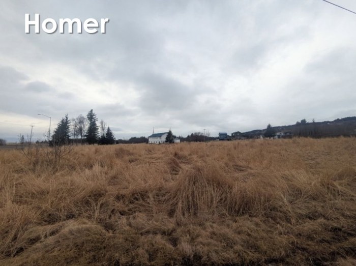 An empty field with dry brown grass and trees in the background
